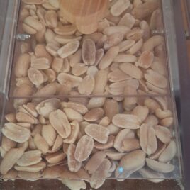 Arachide décortiquée / cacahuète grillée nature